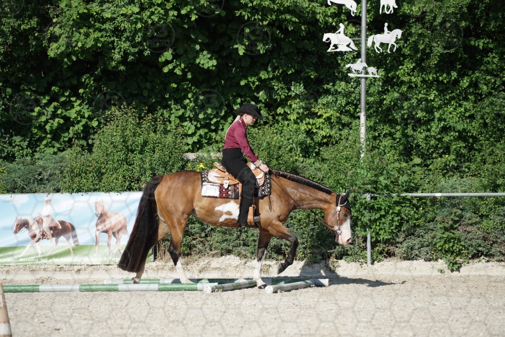 s_APF06869.jpg